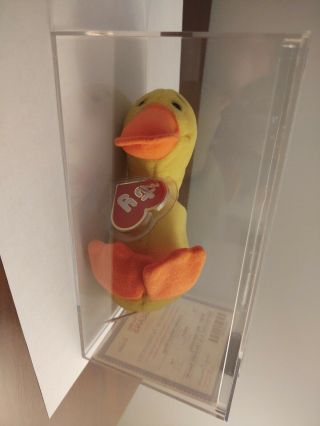 Mwmt Mq Authenticated Ty Beanie Baby Wingless Quacker No S No Wings 1st Gen
