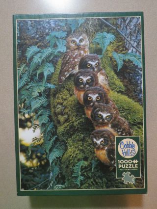 Cobble Hill Family Tree Owl 1000 Piece Puzzle,  Poster - 80018,  Carl Brenders