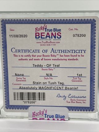 Authenticated Ty Beanie Baby - Teddy - Old Face - Teal - 1st Gen Tush Tag