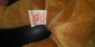 Ultra Rare Ty Beanie Baby 1997 Holiday Teddy Bear Error Tag Brown Nose 3