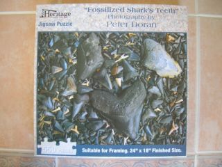 550 Piece Jigsaw Puzzle Fossilized Shark 