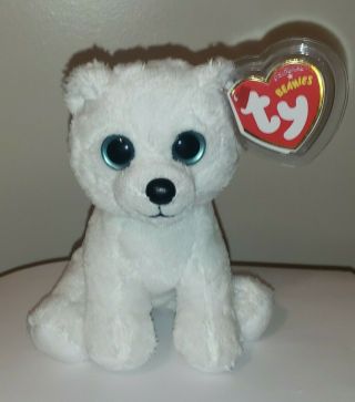 Ty Beanie Baby - Igloo The White Polar Bear 6 " (2012 Version) With Tag