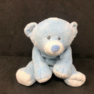 Ty Beanie Baby Pluffies Woods Blue Teddy Bear Plush Sewn Eyes 9 " Stuffed Animal