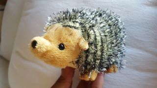 2004 Ty Chuckles The Hedgehog Beanie Baby - No Heart Hang Tag,  Pre - Owned,  Cute