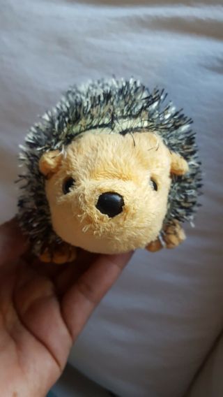 2004 TY CHUCKLES the HEDGEHOG BEANIE BABY - NO heart HANG TAG,  pre - owned,  cute 2