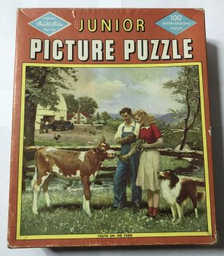 Vintage Built - Rite Junior Picture Puzzle 100pc 1950’s Complete Youth On The Farm