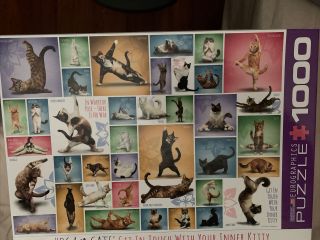 Yoga Cats Eurographics 1000 Piece Jigsaw Puzzle - Box Opened