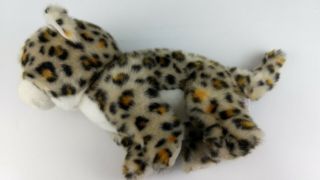 TY Beanie Baby CHESSIE the Cheetah Wild Cat Plush Soft Toy Stuffed Leopard 2007 3