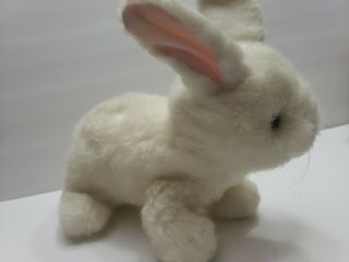 1997 Retired Ty Classic Beanie Babies White Bunny Rabbit Bows Plush 10 " Easter