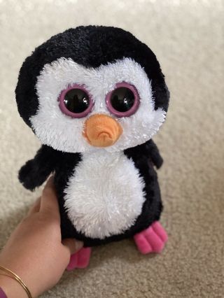 Ty Beanie Boos Paddles 9” Bean Bag Plush Toy Big Eyes Penguin Soft