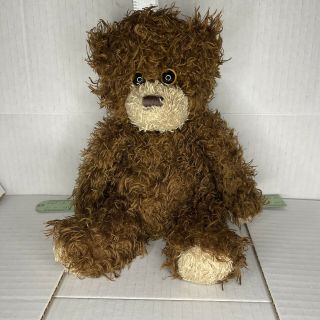 Ty Beanie Baby Shaggy Classic Brown Bear Plush Stuffed Animal 12” Soft 2010 Nht