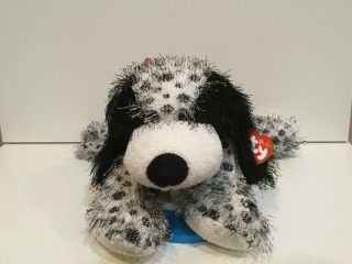 Lqqk Ty 2004 Punkies (discontinued) 14 " Polka - Dot,  Black & White Dog With Tag