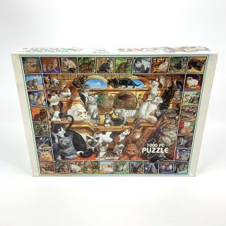 The World Of Cats 1000 Piece Jigsaw Puzzle By White Mountain