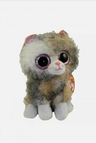 2019 Ty Beanie Boos 6 " Scrappy The Curly Haired Cat Plush Mwmts Ty Heart Tags