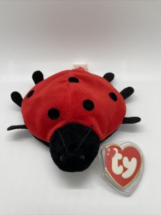 Ty Beanie Baby - Lucky - 7 Glued Spots - 3rd Gen Hang Tag / 2nd Gen Tush Tag