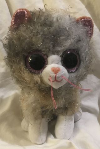 2019 Ty Beanie Boos 6 " Scrappy The Curly Haired Cat Plush Heart Tags