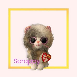 Ty Beanie Boos - Scrappy The Kitty Cat 6 " (2019) - With Tags