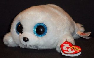 Ty Beanie Boos - Icy The 6 " Seal - With Tags