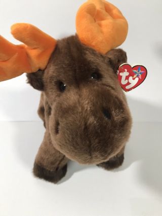Ty Beanie Babies 2002 Zeus The Moose Beanbag Plush With Hangtag Tags