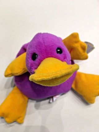 Patti The Platypus 1993 Ty Beanie Baby With Tags Nwt Purple Duck - Billed