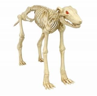Home Accents Halloween 26 Animated Skeleton Greyhound With Led Illuminated Eyes