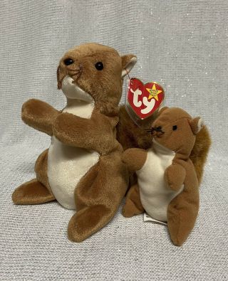 Ty Rare Beanie Baby - 1996 Nuts And Mini Nuts Squirrel