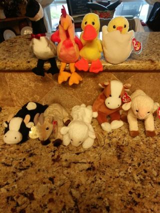 Beanie Babies: " Eggbert,  Bessie,  Doodle,  Quackers,  Ewey,  Fleece,  Goatee,  Daisey,