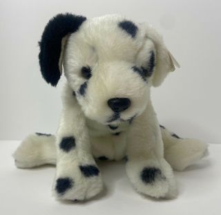 Ty The Beanie Buddies 1999 Dalmation Dog 12 " Plush Stuffed Animal " Ace "