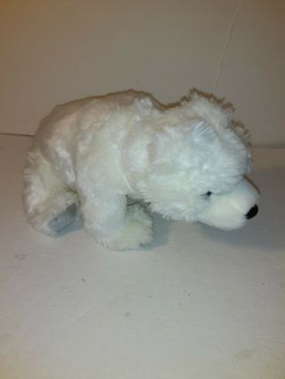 2000 Ty Classic Polar Bear - Iceberg - White With Gray Paws,  13 " (bin5)