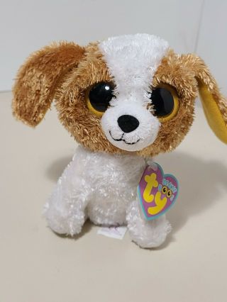 Ty Beanie Baby Boos Cookie The Puppy Dog With Tag