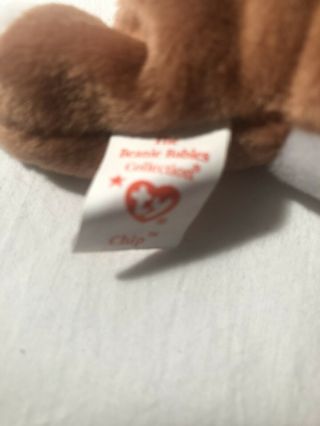 Ty Beanie Babies Chip The Cat Born January 26 1996 MWMT 636 3