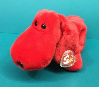 Ty Beanie Buddies Rover Red Puppy Dog 12 " Plush Stuffed Animal Nwt Tag 1998