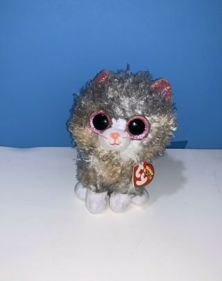 Ty Beanie Boos 6 " Scrappy The Curly Haired Cat Plush Ty Heart Tags