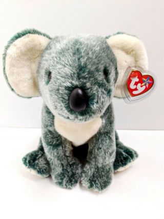 Ty 1999 Eucalyptus The Koala Bear Beanie Buddy Babies With Tag