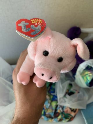 Ty Beanie Babies,  2.  0 Sniffs The Pig,  5 " And Play Online.  Retired Beanie