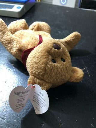 Ty Beanie Baby " Curly " The Bear 1996 W Brown Nose Pvc Pellets,  Usa
