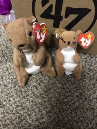 Set Of Ty Beanie Babies Nuts The Squirrel & Teenie Beanie Nuts The Squirrel