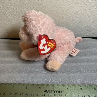 Ty Beanie Baby - Soybean The Pig (6.  5 Inch) With Tags