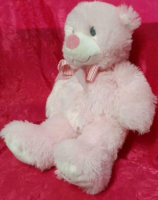 Ty Pluffies My First Teddy Bear Pink Sweet Baby Plush Stuffed Animal 12″ Girl 2