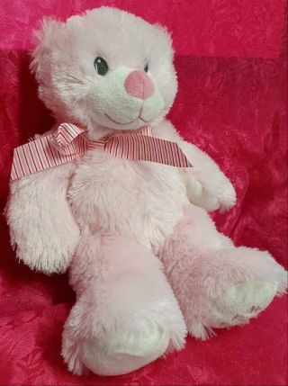 Ty Pluffies My First Teddy Bear Pink Sweet Baby Plush Stuffed Animal 12″ Girl 3