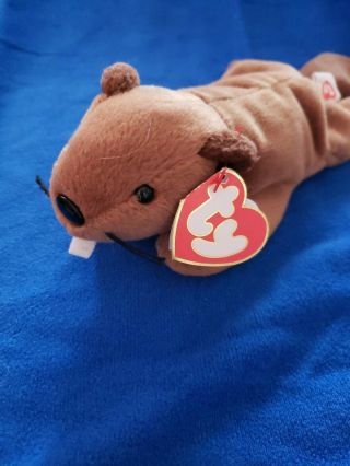 Bucky Beaver 3rd Gen Ty Beanie Baby Tags Look At Pics