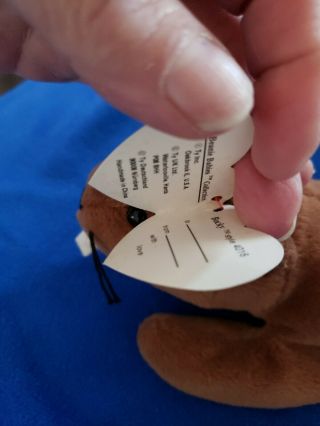 Bucky Beaver 3rd gen Ty Beanie Baby tags look at pics 2