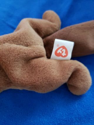 Bucky Beaver 3rd gen Ty Beanie Baby tags look at pics 3