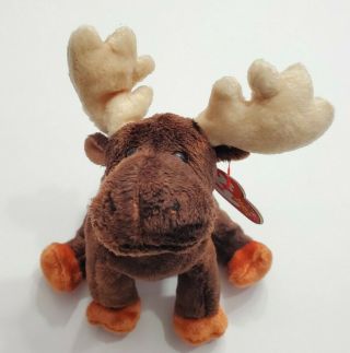 Ty Beanie Babies 2002 Zeus The Moose Beanbag Plush With Hangtag Tags