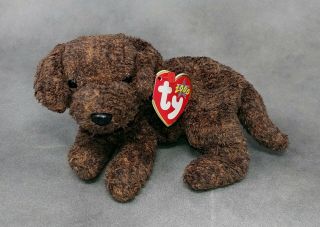 Ty Beanie Baby Fetcher The Dog (7 ") With Tags 1 Owner Smoke Home