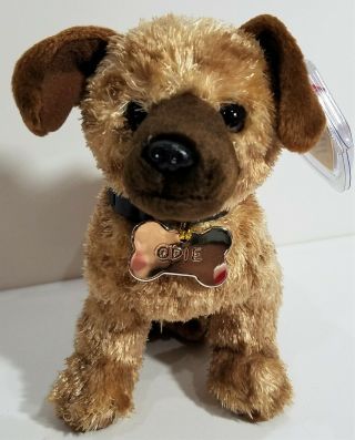 Ty Beanie Babies " Odie (from Garfield The Movie) " Dog - Mwmts Great Gift