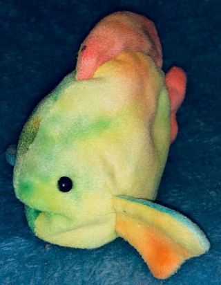 TY BEANIE BABY CORAL FISH COLORS Pre - Owned 2