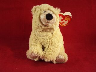 Ty Beanie Baby Parka The Polar Bear 6 " (2006 Release) Mwmt