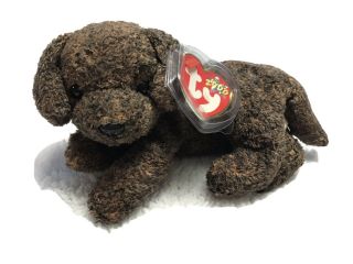 Ty Beanie Baby 2000 - Fetcher The Puppy Dog With Tags & Protective Case