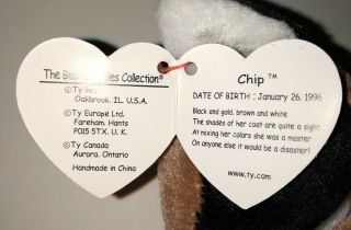 Ty Beanie Baby Chip Calico Cat PRISTINE - PERFECT w/Mint Tags 3